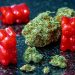 amanita muscaria mushroom gummies