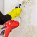Professional Mold Testing in Marietta: Detect & Eliminate Mold Issues