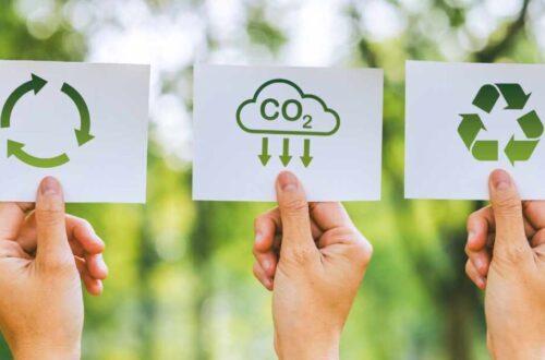 Building a Sustainable Lifestyle Through Mindful Nutrition and Movement